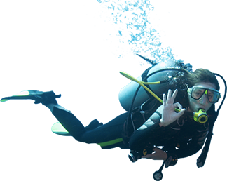 Call for Diving Session