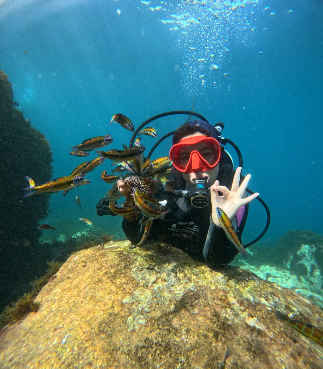 Plongée sous marine